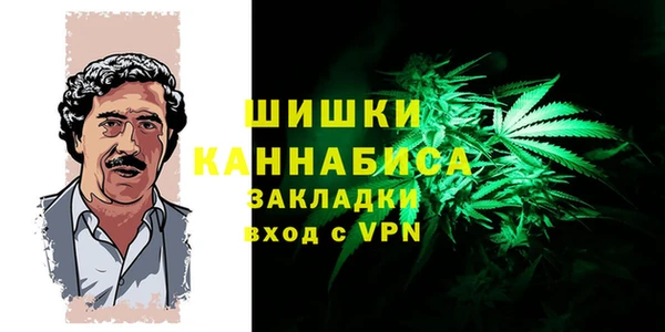 трава Аркадак