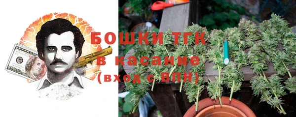 трава Аркадак