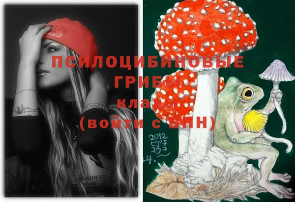 кокс Арсеньев