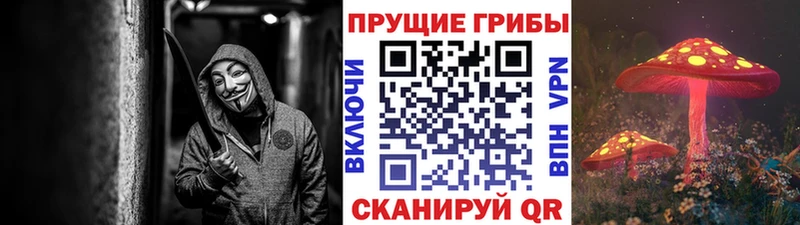 Купить  Суровикино  Галлюциногенные грибы MAGIC MUSHROOMS 